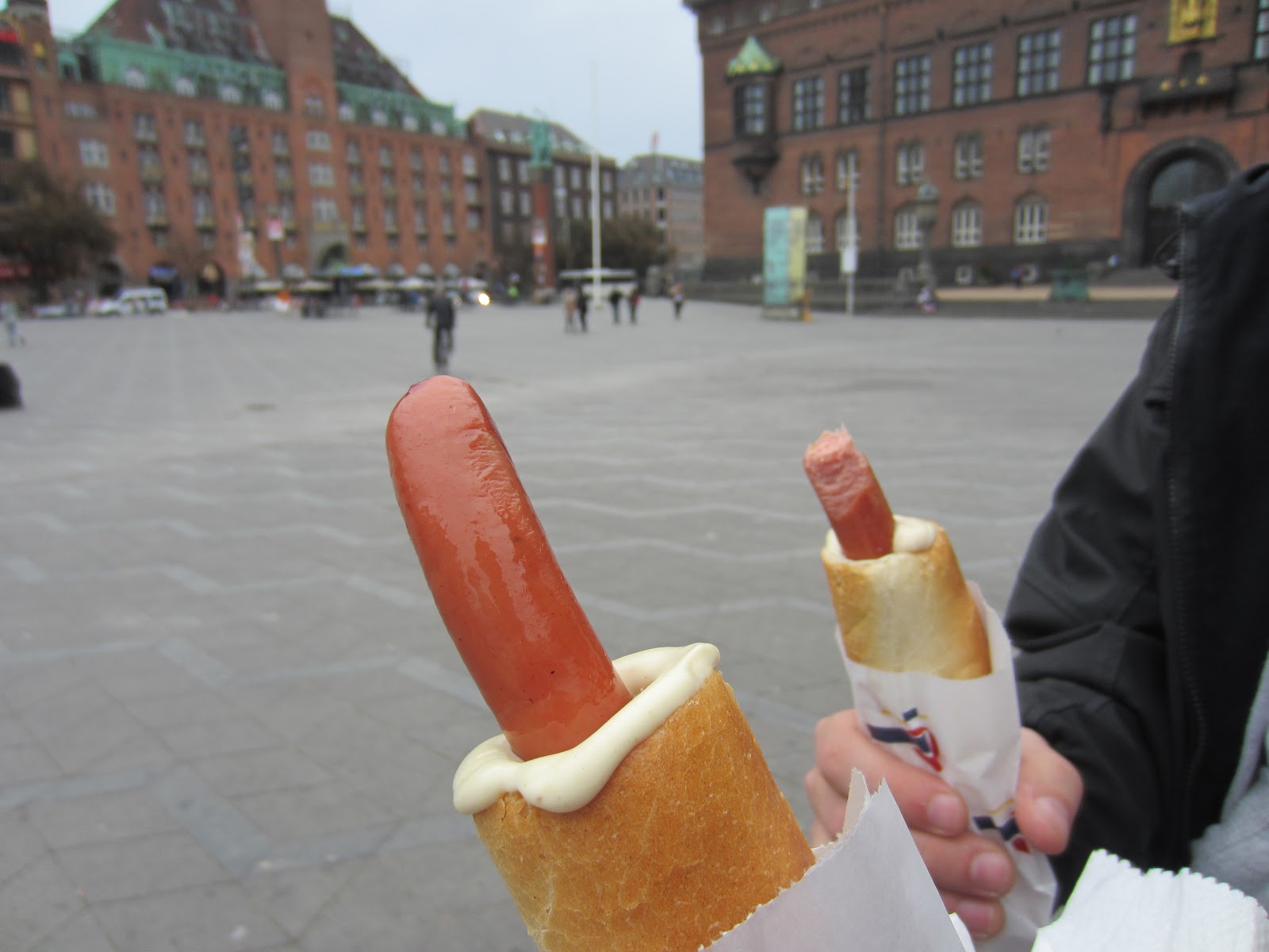 Pay a Visit The Hot Dogs of Scandinavia
