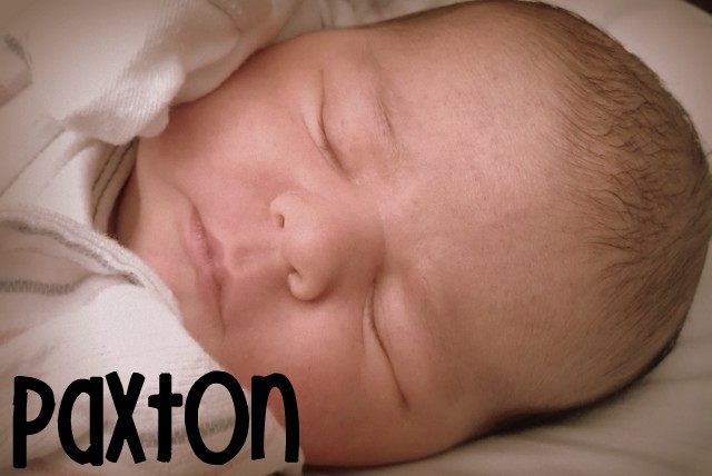 Paxton