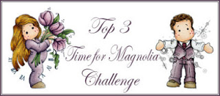 Top 3 Time for Magnolia #113