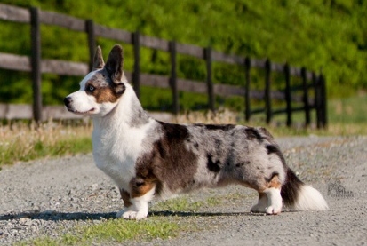 Rakkaus Space Cowboy