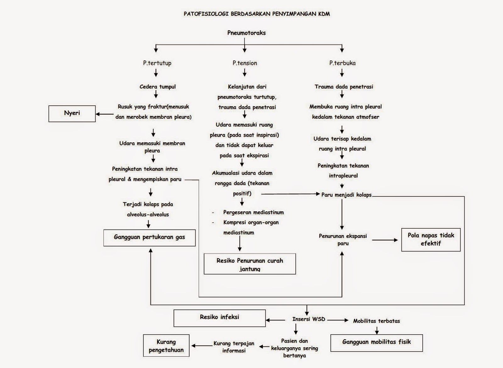 pathweys Pneumotoraks Blog Kesehatan