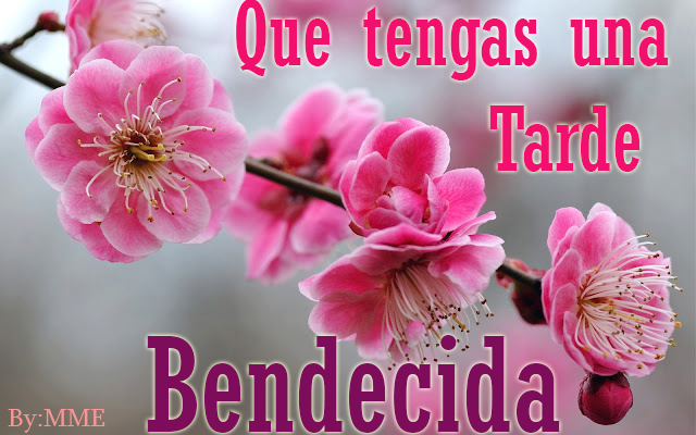 15 ideas de Dios te bendiga | dios te bendiga, bendiciones para ti, te  bendigo