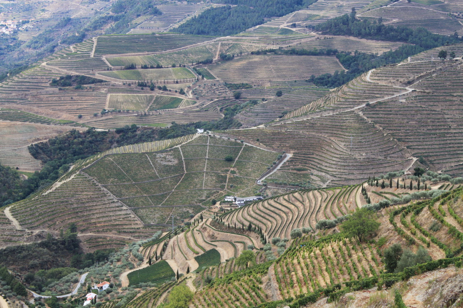 Vallée du Douro