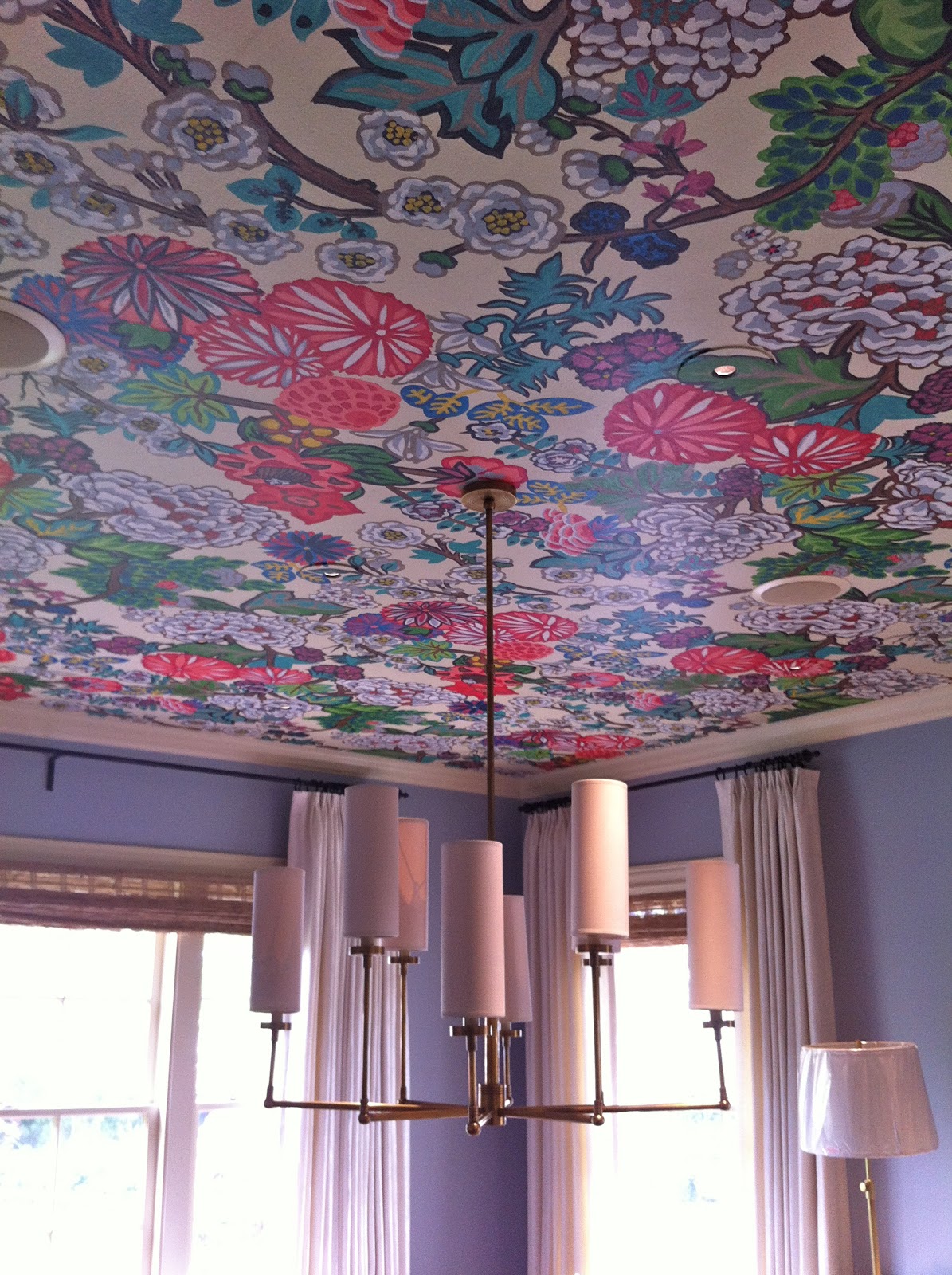 Vivid Hue Home Ceilings Why Put a �Lid� On Them?!
