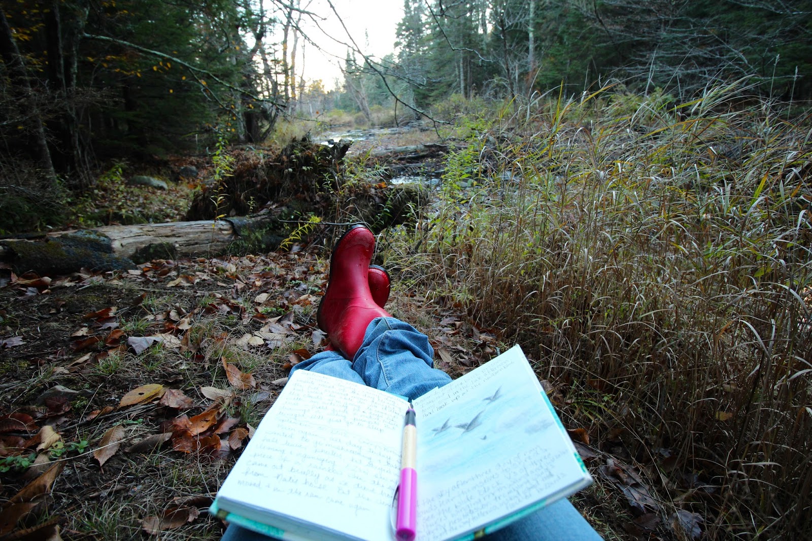 Nature writing essay examples picture