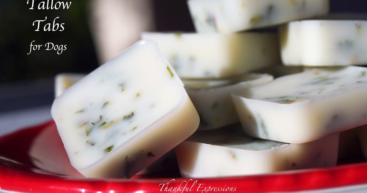 Thankful Expressions Tallow Tabs for Dogs