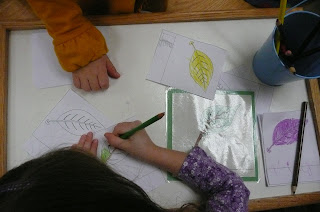 Montessori Teachings: Parts of a Leaf and Leaf Dissection