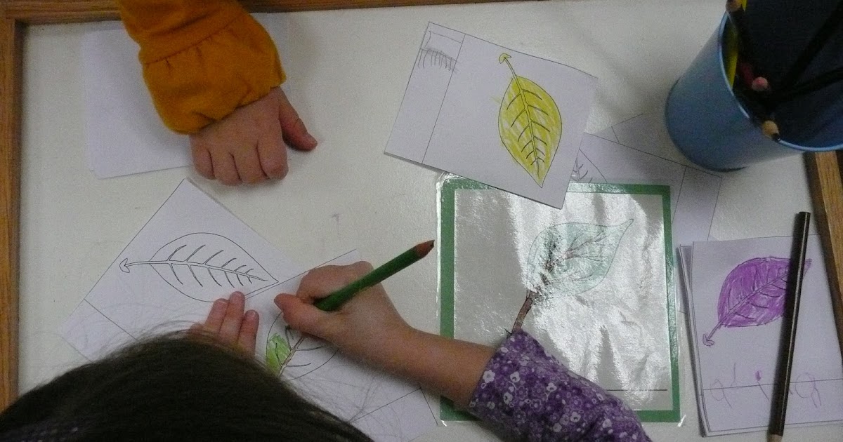 Montessori Teachings: Parts of a Leaf and Leaf Dissection