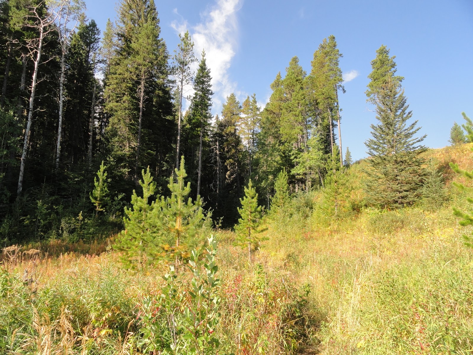 Restless Prairie Girl A Weekend In The Beautiful Cypress Hills