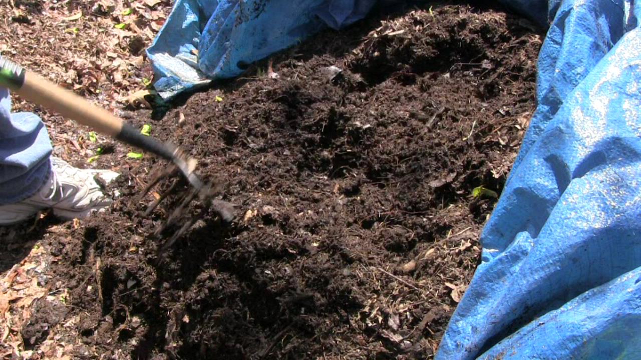 Reaganite71's Blog Grass to Compost in 10 Days!