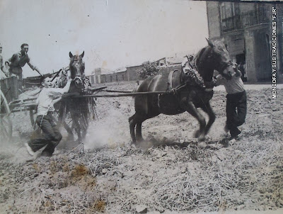 Competició en festes de Santa Maria Magdalena 1953