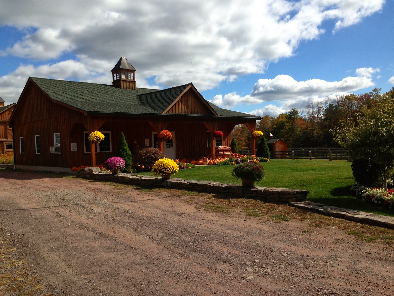 Bethel New York Solo Mom Takes FlightSolo Mom Takes Flight