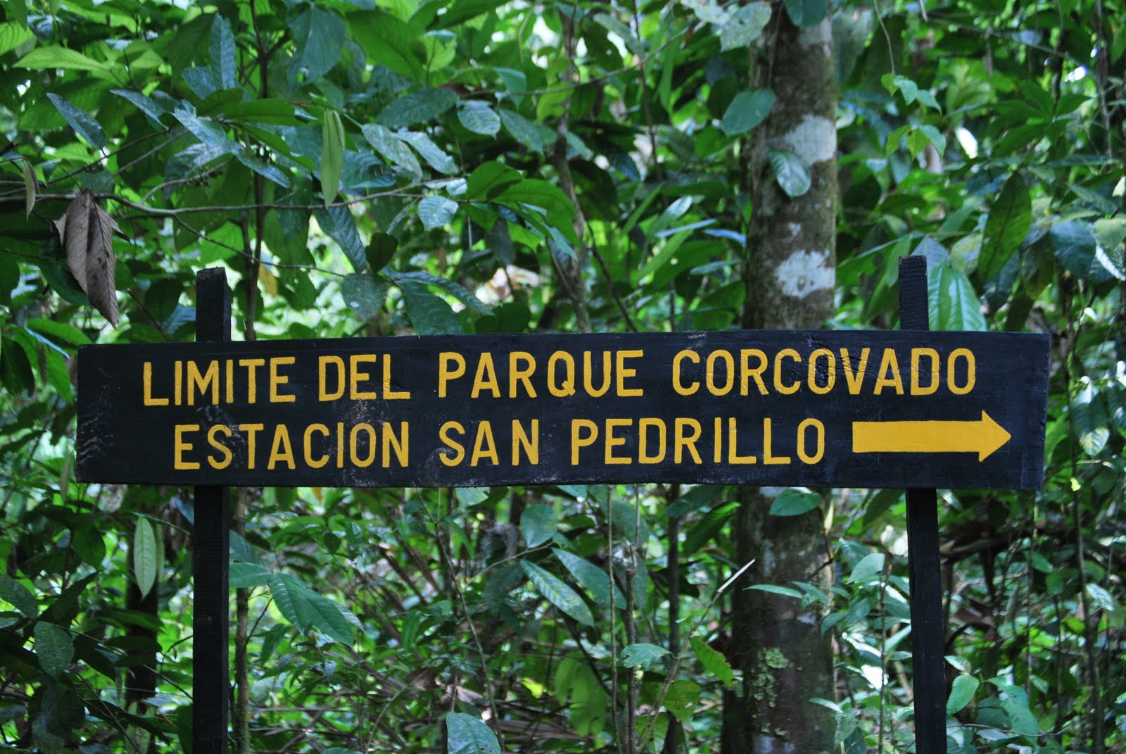 souper rencontre casa grecque vaudreuil