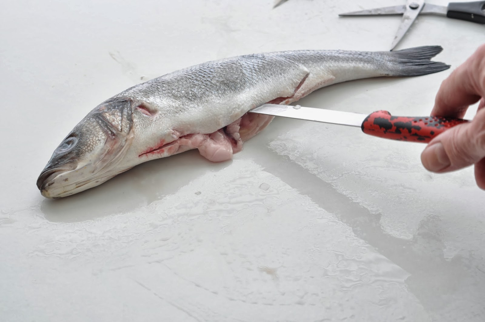 Simple Food: Sea Bass, How to Prepare For Pan Frying