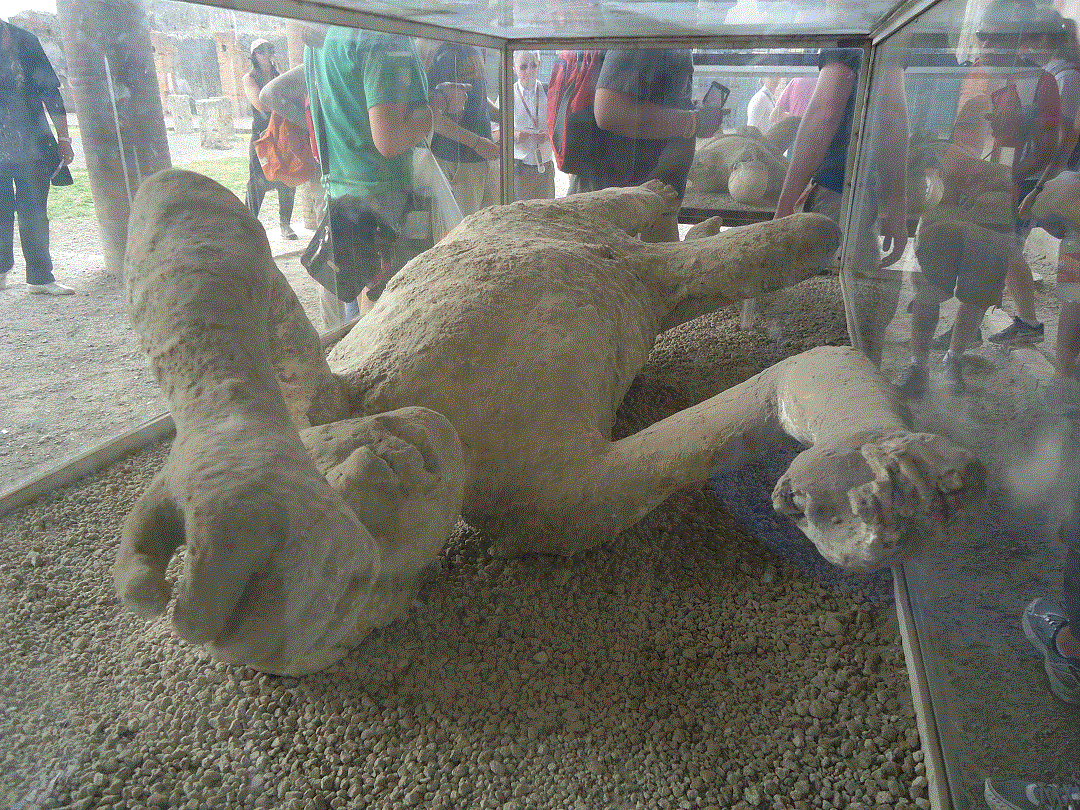 pompeii molds