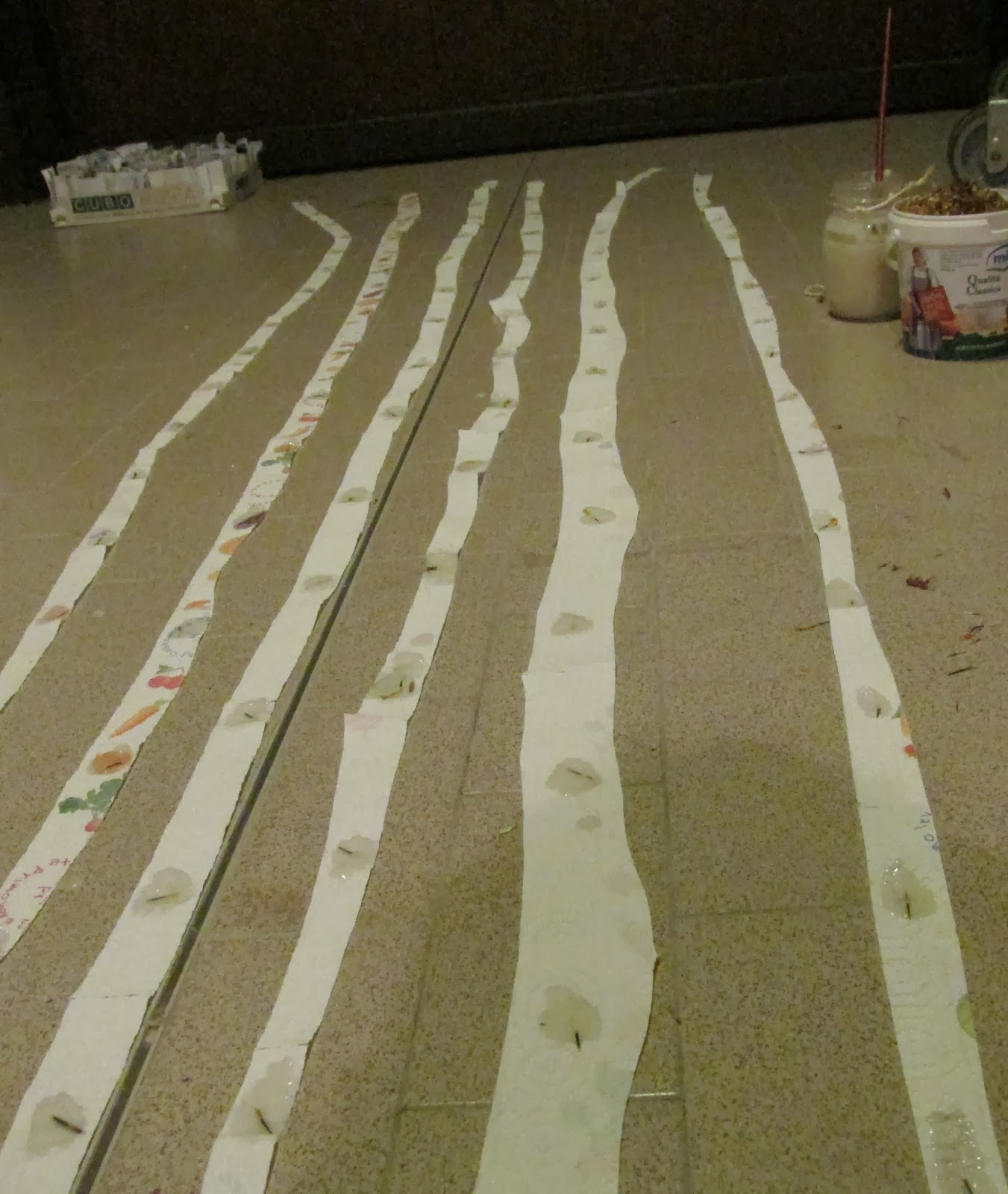 come si fa l amore a distanza