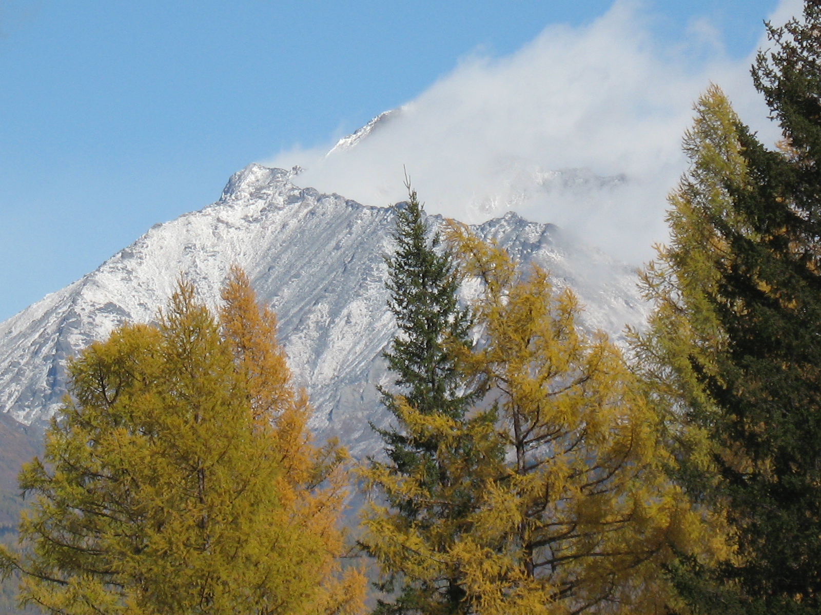 Как Делать Красивые Фото Природы