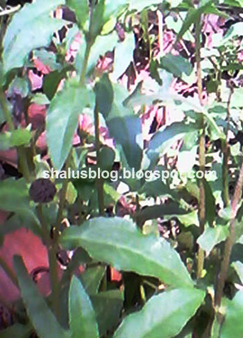 One Direction: Who We Are: Our Official Autobiography