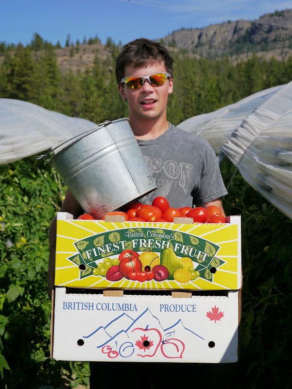 How to Can Crushed Tomatoes Backwoods Mama