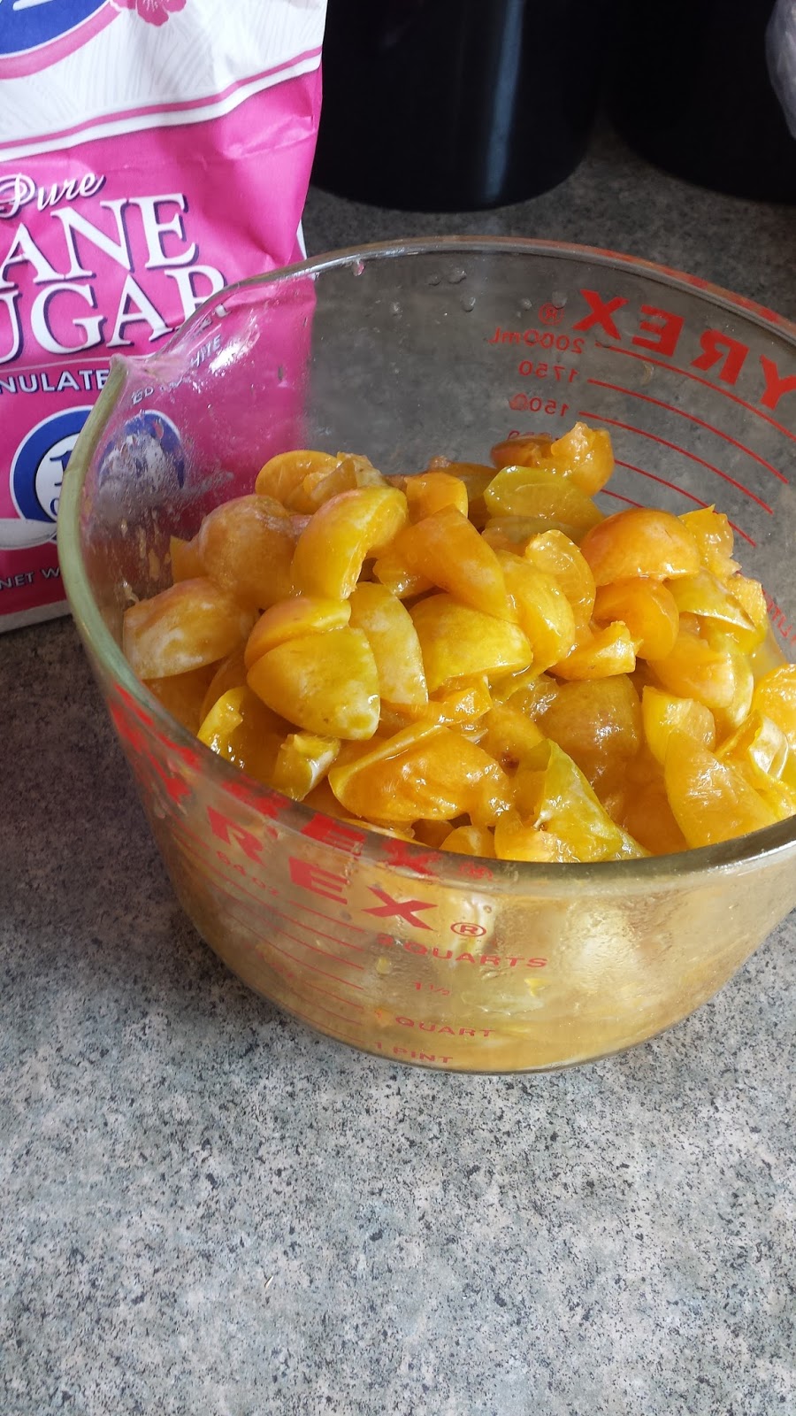 Snappily Ever After Yellow Plum Pectin Free Freezer Jam