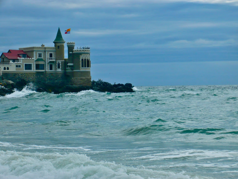 EN LA DIALÉCTICA DEL MAR, OLVIDO