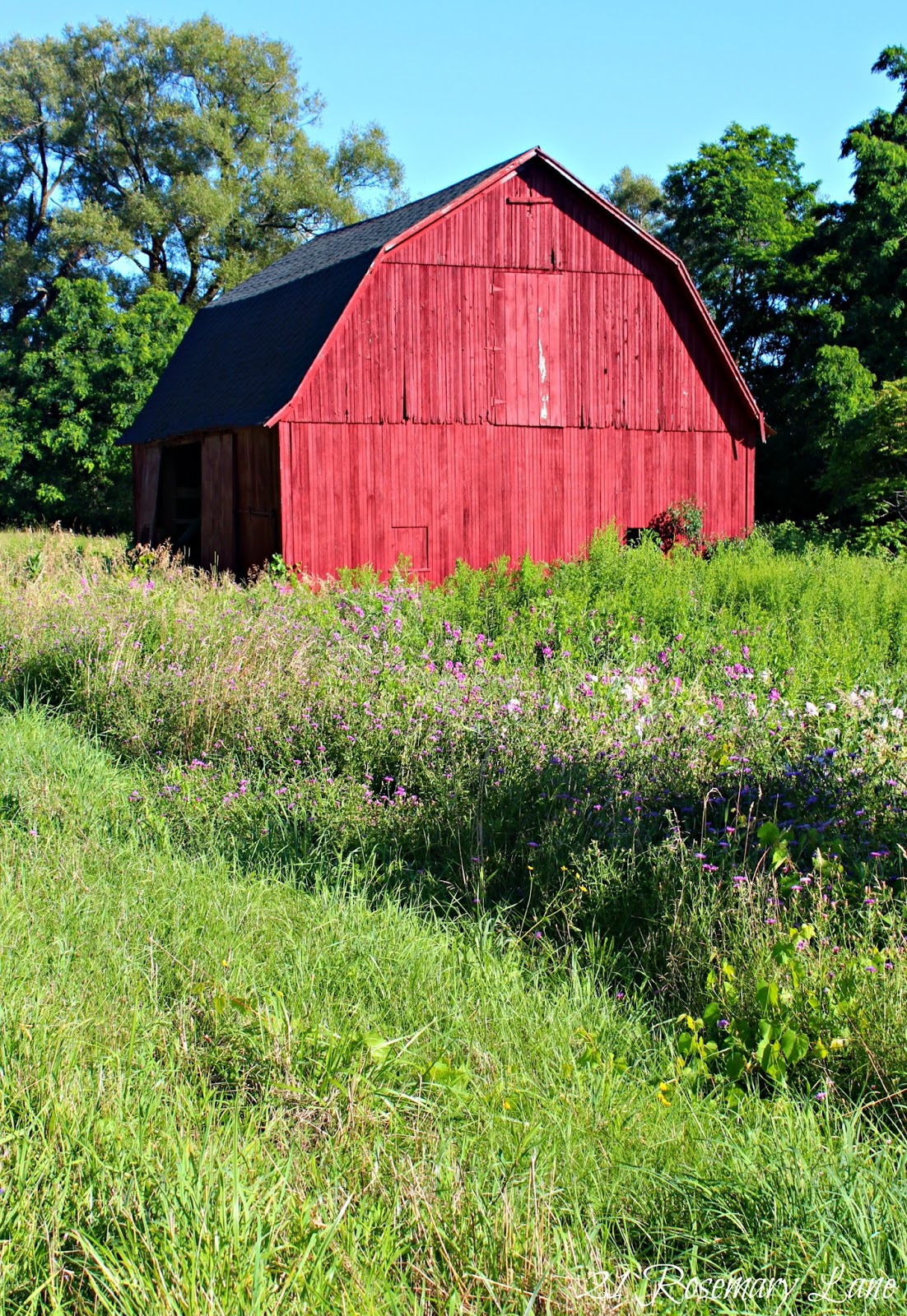 21 Rosemary Lane Images from the Side of the Road