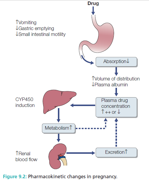 SCIENCE of DRUGS DRUGS IN PREGNANCY