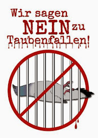 Sag NEiN zu Taubenfallen!