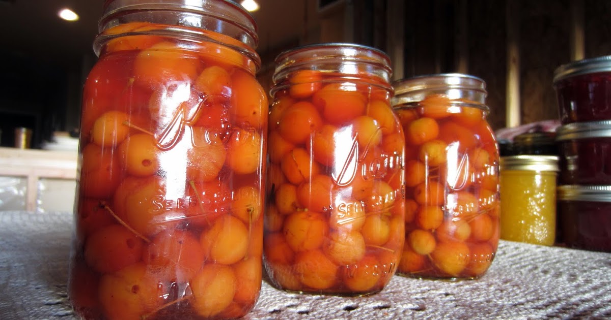 Foraging and Canning Spiced Pickled Crab Apples