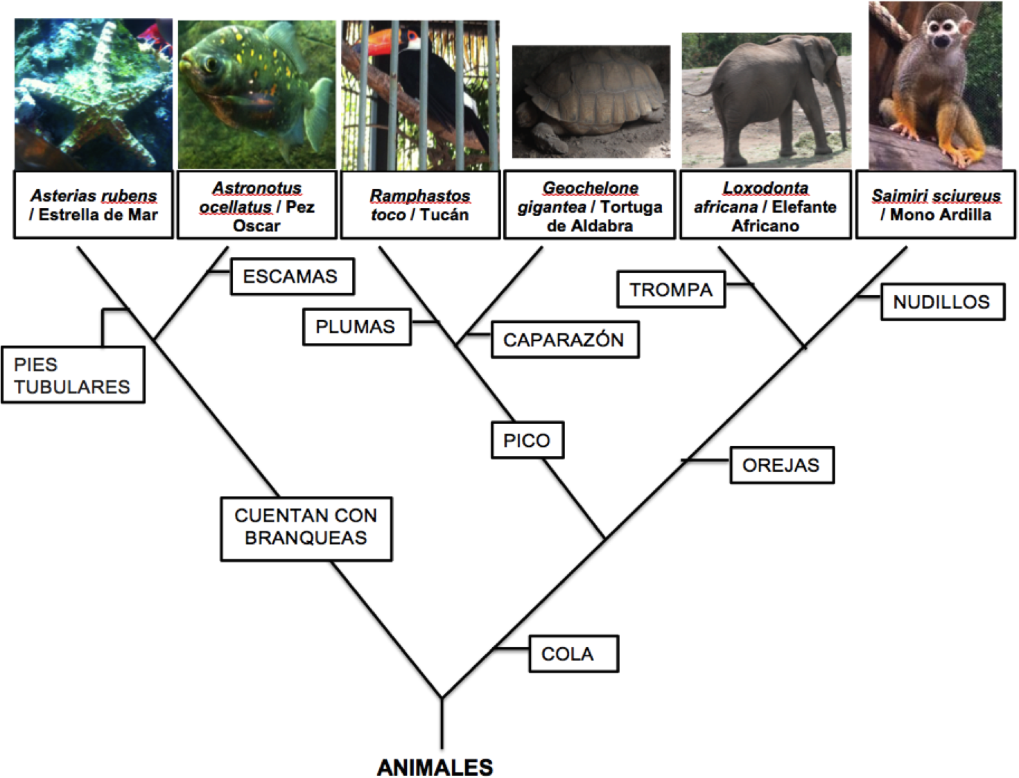 SOUL TRAIN THE BEST 5 - YouTube