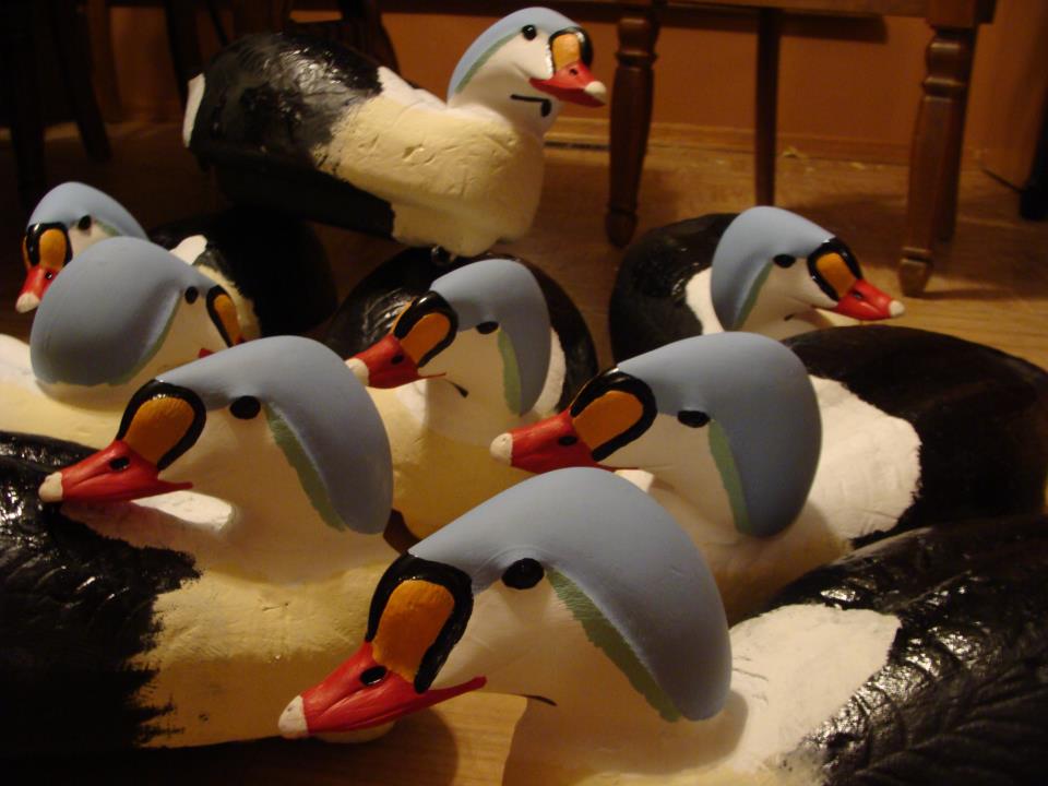 Alaskan Eider Outfitters Decoys all Finished
