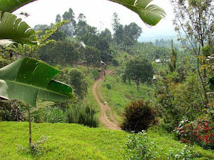 VIEW FROM EZRA'S VERANDA