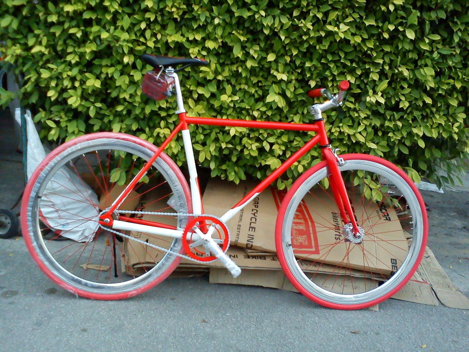 promax fixie
