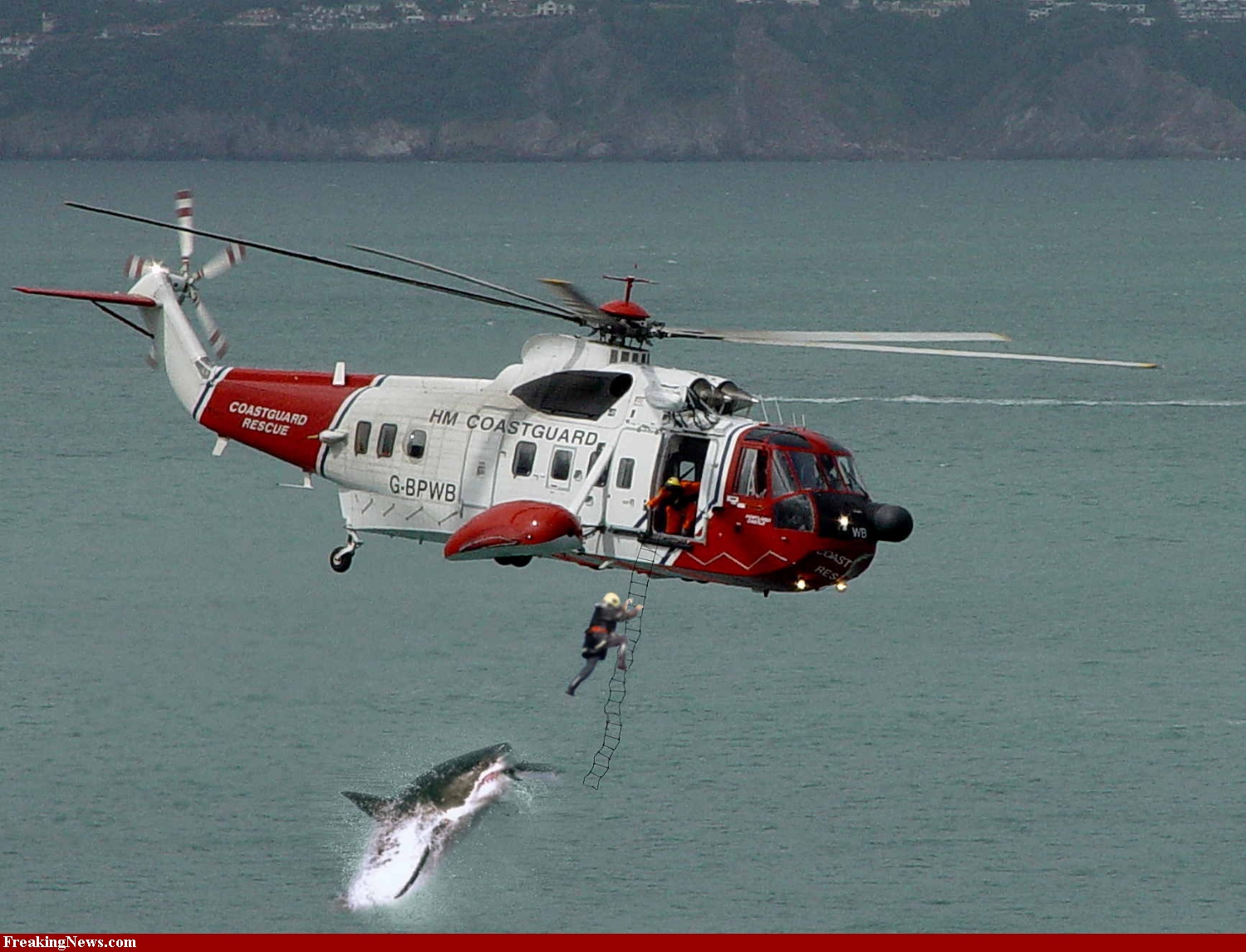 Human Shark Attack