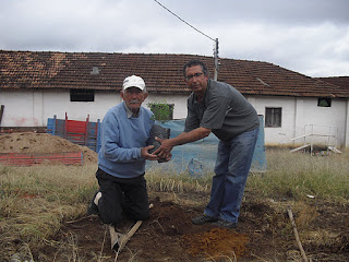 Moringa - Árvore da vida