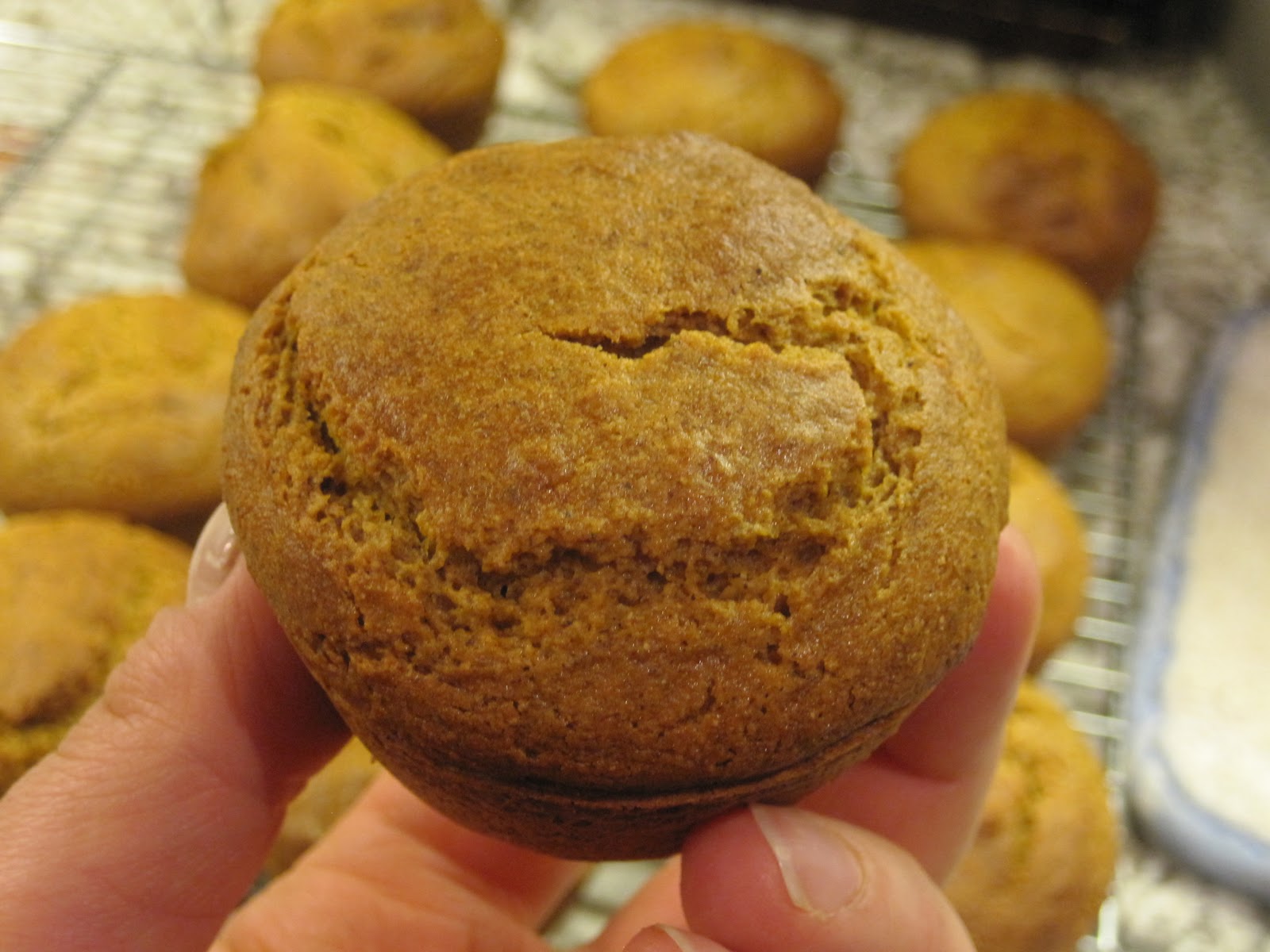 Bff Food Project Pumpkin Muffins vegan, gluten free, dairy free, egg free