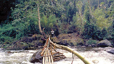 Crossing mountain streams on bamboo bridges