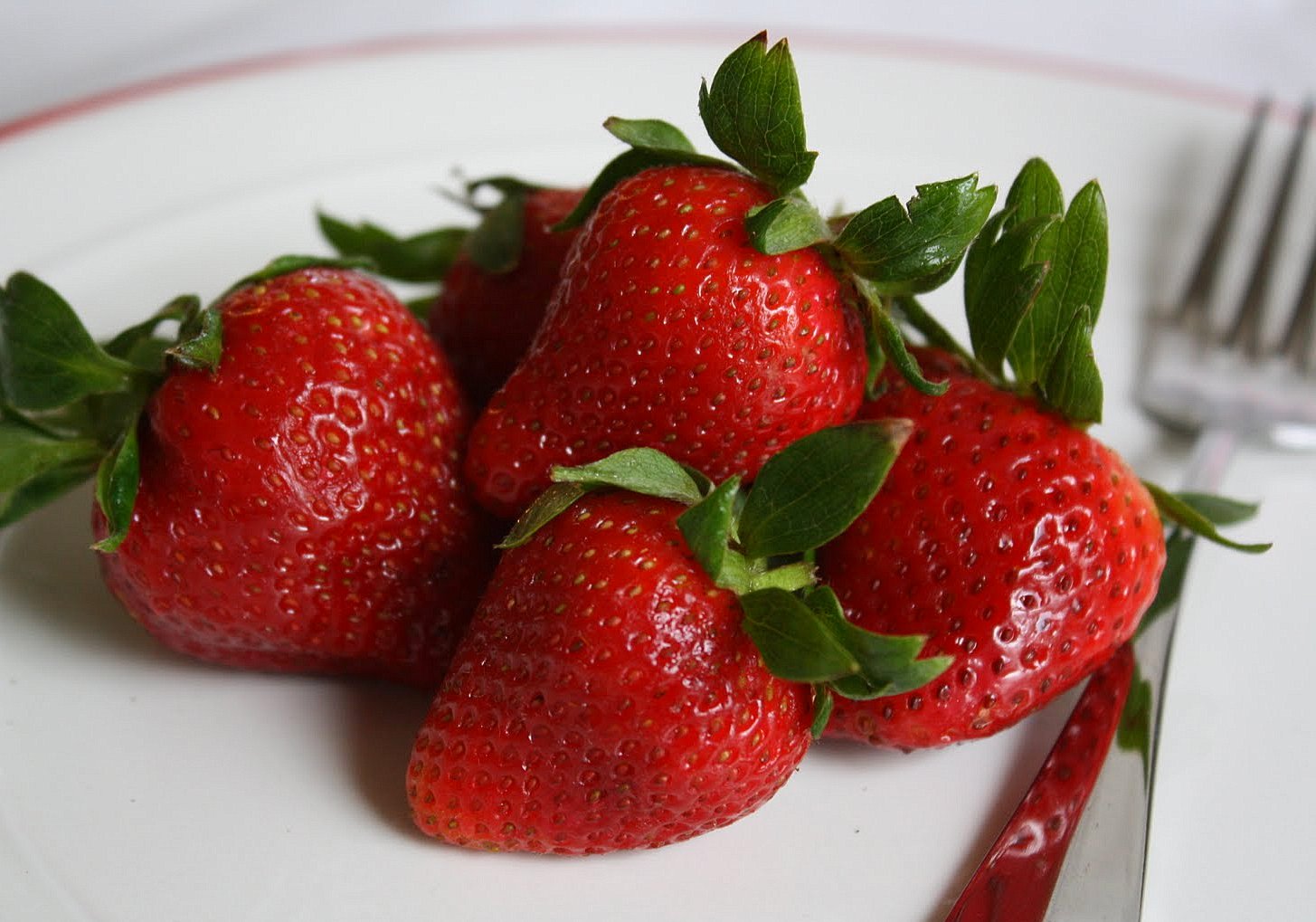 Jane's Sweets & Baking Journal Brie Cheesecake with Shortbread Crust