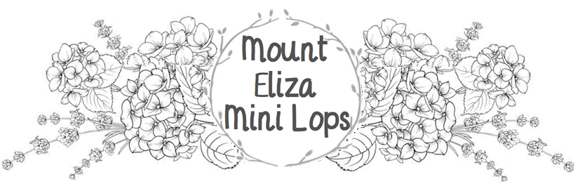 Mount Eliza Mini Lops