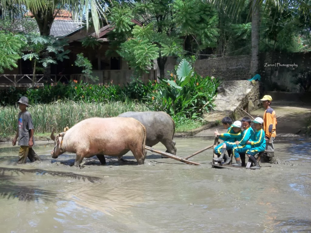 OUTBOUND PELITA DESA CISEENG