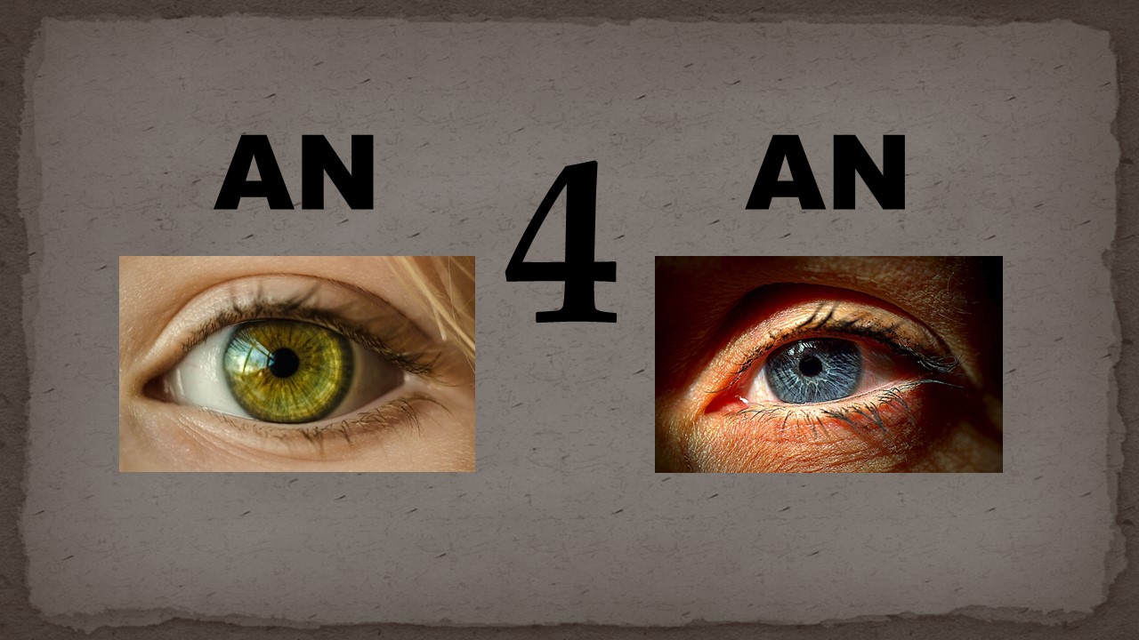 An%2BEye%2Bfor%2BAn%2BEye%2BAnnihilation%2B1a.jpg