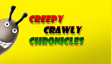 Creepy Crawly Chronicles