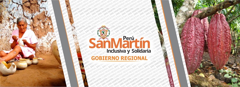GOBIERNO REGIONAL SAN MARTÍN