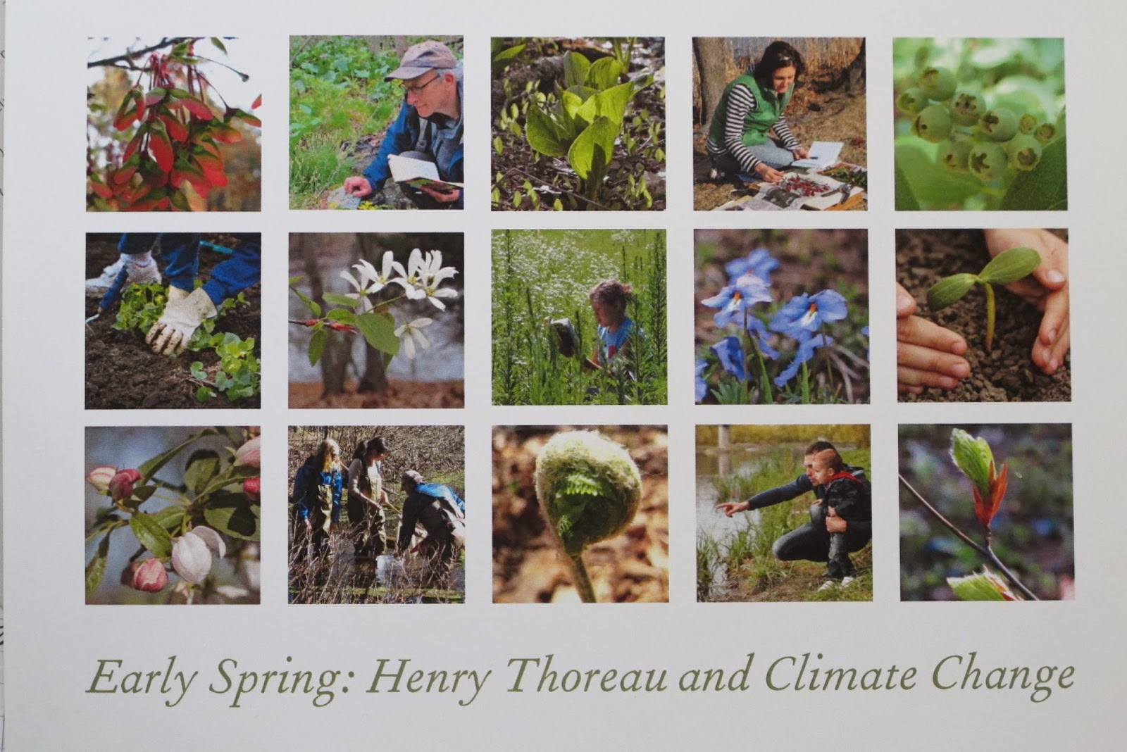 Climate change research in partnership with Thoreau Early Spring Henry David Thoreau and
