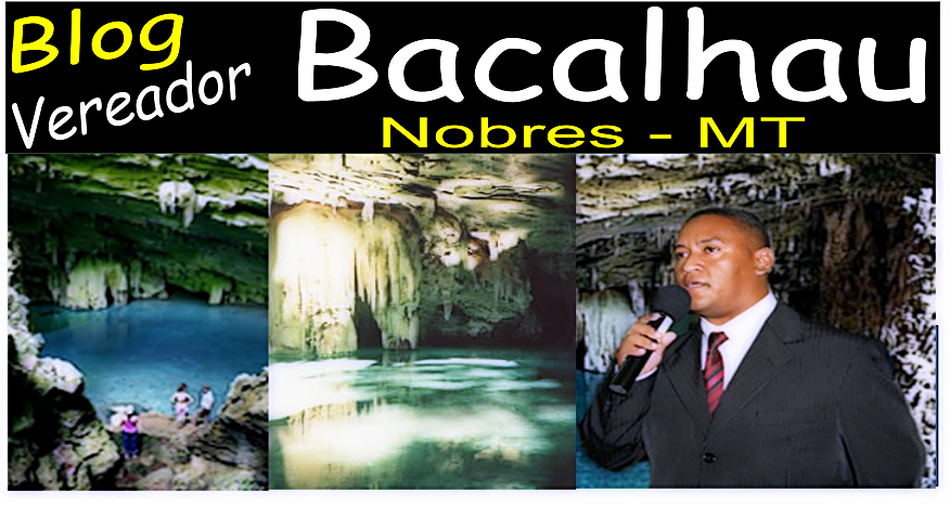 Blog Vereador Bacalhau