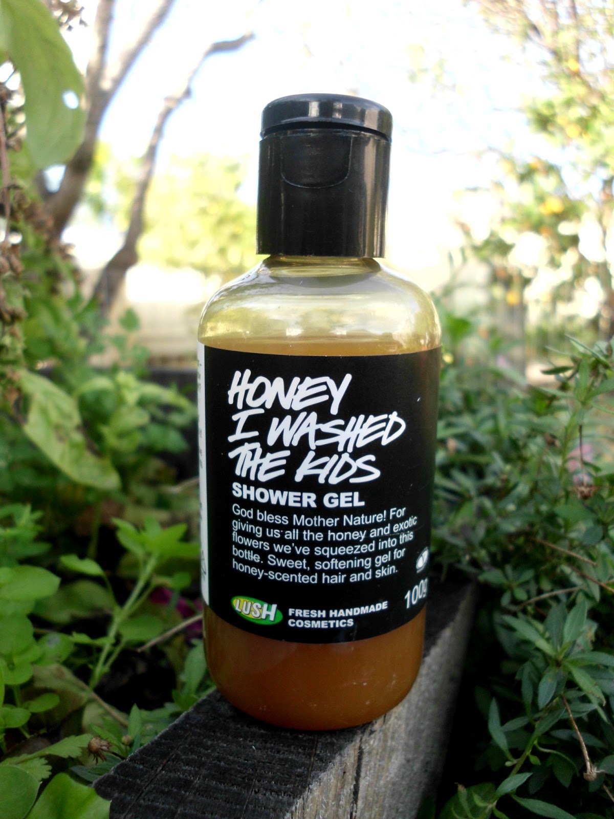 YouReview Lush Shower Gel Honey I washed the kids