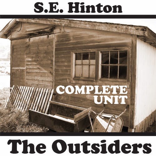  The Outsiders Novel Unit