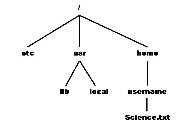 an analysis of unix file system File system: unix and unix-like operating systems employ a hierarchical (ie, inverted tree) directory structure, with the root directory (/) at the top the standard file system has, among others, the following directories:. an analysis of unix file system File system: unix and unix-like operating systems employ a hierarchical (ie, inverted tree) directory structure, with the root directory (/) at the top the standard file system has, among others, the following directories:.