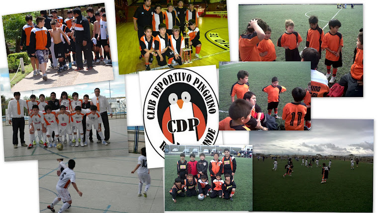 PINGÜINO FUTSAL 2012