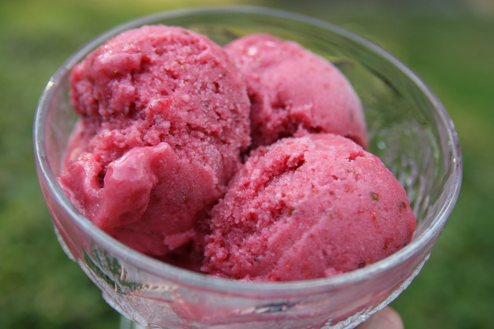 Haystacks & Champagne Mixed Berry Buttermilk Gelato